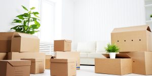 Movers and Packers in Umm Al Quwain
